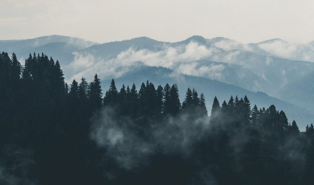 De cloud is de toekomst?